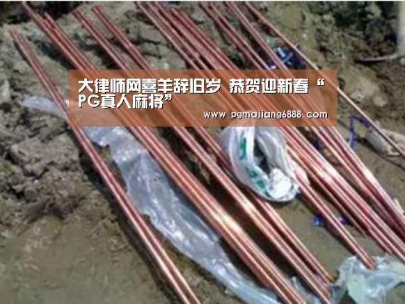 PGAPP下载